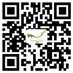 开云体育ios下载